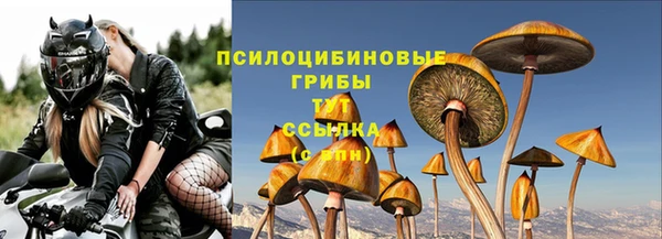 СК Заволжье